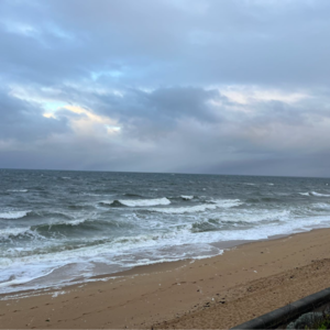 【咖啡时间】5月21日Brighton Beach LR后的catch up