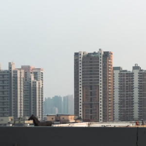 这不仅仅是差评，这是严肃文学 【六根不净】Vol.002