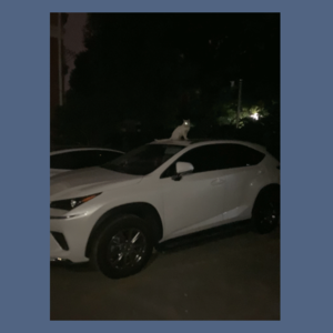 05 一个上海边疆夜行者的研究方法