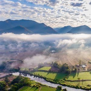 鬼台第263期：意外