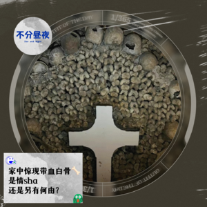 vol.56 家中惊现白骨，是情杀还是另有何由？