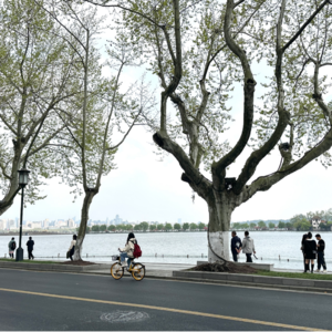 Vol.3 | 你真的懂得逛杭州北山路吗?现在就出发吧!