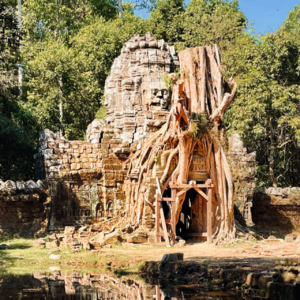 vol.3 柬埔寨|十年吴哥窟导游的场外叙事:迁都、欧洲中心主义,疫情与失业