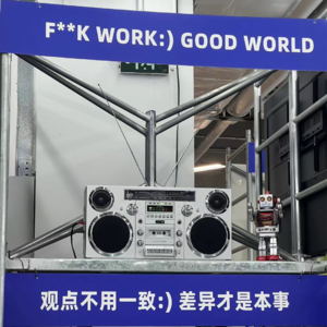 Episode 08.关于工作——毕业六年，你成为合格的社会打工人了吗？