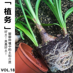 Vol.18【植务】好土!真是好土!聊聊种植中的土和介质