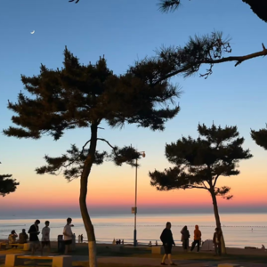 Vol.6「生活在别处」为2024定下支线任务！