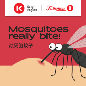 Mosquitoes really bite! 讨厌的蚊子