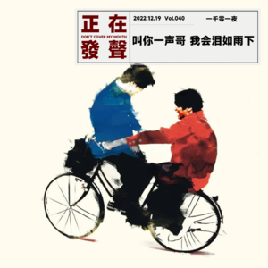 040 叫你一声哥 我会泪如雨下