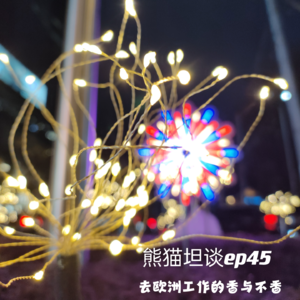 45.去欧洲工作的「香与不香」 神仙工作 or 难以融入?