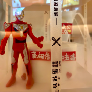 Vol. 006 - 你能把床分我一半吗?