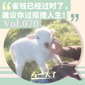 Vol.070 省钱已经过时了，建议你过抠搜人生！