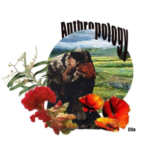Album