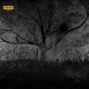 长着鳞片、没见过这东西、有人扒船、死仔林、奇遇罗生门、下面有人、大火球