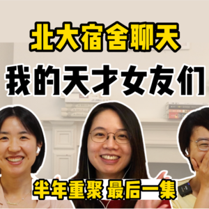 我的天才女友的陨落,85后独生女的性别困境