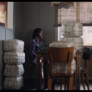 电影失去了欲望 XIX 品钦的世界