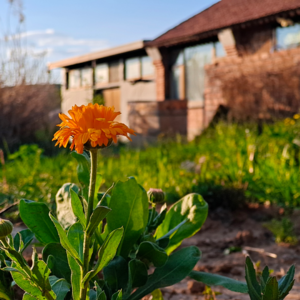 #002 回归土地的女性