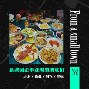 cover of episode Vol.73 县城人上人？国企事业编的朋友们的故事