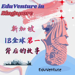 vol.027|新加坡IB全球第一的背后：国际学校和机构教师的生存现状