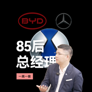 最早的中国新能源品牌,可否腾飞起势?