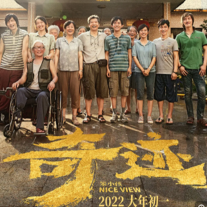 【No.9 奇迹·笨小孩】导演界的汪峰，拍了一部降维版的《药神》