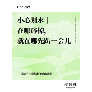 vol.289 小心划水｜在哪碎掉，就在哪先趴一会儿