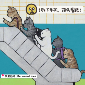 50 放下手机,抬头看路!