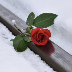 2024年1-4月｜Part 2 丢失某物又找回的经历