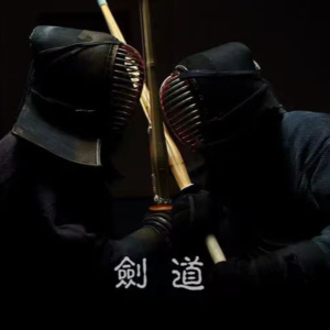 Vol.3 剑道中的kamae