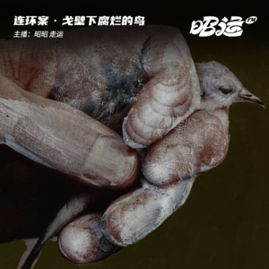 93·【案29】戈壁下腐烂的鸟