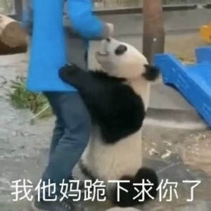 放下面子享受世界,成长是脸皮变厚的过程