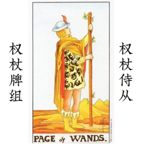 权杖侍从—有用的讯息 | 别小看打杂的，他也有那么点儿权力