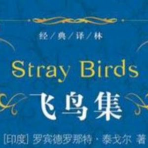 泰戈尔 飞鸟集 04 英文朗读（ENG)