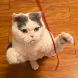 EP26 婚纱照拍后感