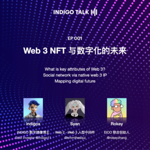 INDIGO TALK / Web 3, NFT 和数字化未来 - EP 01