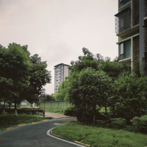 VOL78.做家务白噪音：春天，所有的心都在流浪，不管人在何处。