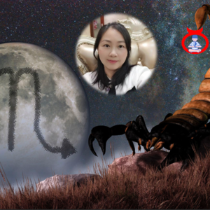 与爱上真正的自己月天蝎陈丽勋聊恒星黄道人类图,梦图