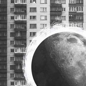 鬼台第322期：太空动物园