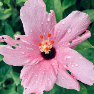 #EP 17 QE Channel 每份冲动都该被珍惜