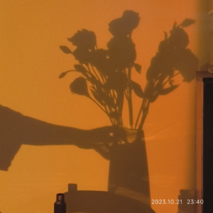 S3E93 Music Sets 周五晚听什么？