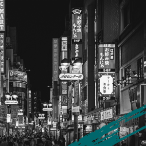 Japanese Legal System