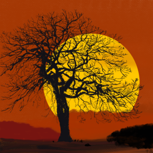 015读书分享：天气不太好，钱也几乎没有