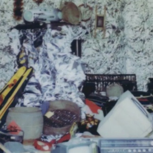 173.决定性瞬间，在被仙人掌刺中的时刻