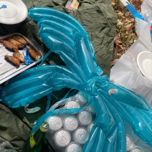 N3. 求职、结婚、逃离北京：我偷窥了5个朋友过春天