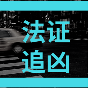 40:当证据开口说话：汕头杀人分尸事件+南宁杀人焚尸事件