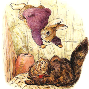 小兔子本杰明的故事4| The Cat and the Basket