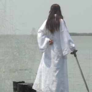 第6期·无招之剑，说说金庸、黄霑与古龙