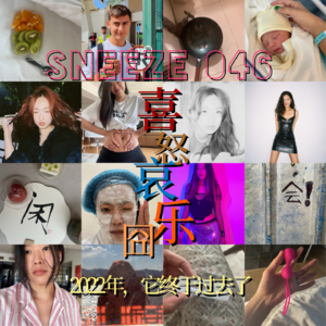 046.喜怒哀乐囧:2022年,它终于过去了。