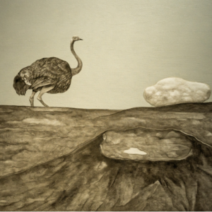 《虚妄如羽》作者：傅榆翔 朗诵：文懿