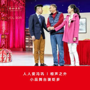 Vol.206 人人爱冯巩|相声之外，小品舞台褒贬多