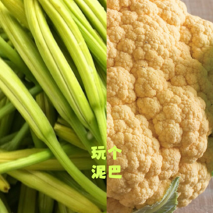Vol. 54 Q:请问下图哪个是黄花菜?